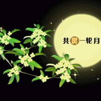 奧邦|遙望月將圓，顧家正當時
